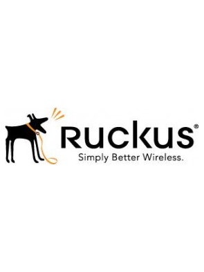 Ruckus Associate Partner...