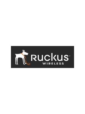 Ruckus FlexMaster software...