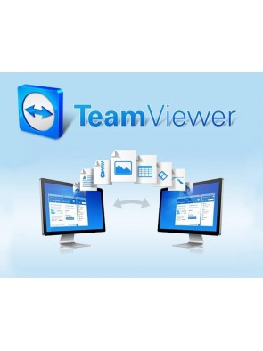 TeamViewer Pilot, Supporto...